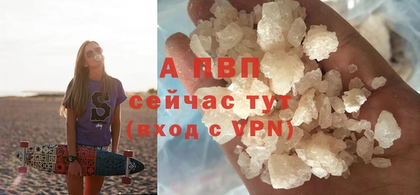 сатива Армянск
