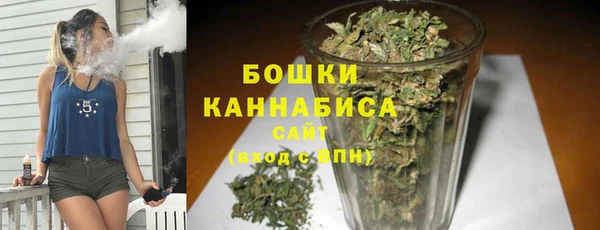 сатива Армянск