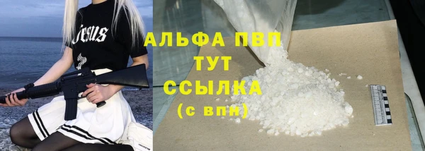 сатива Армянск