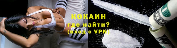 сатива Армянск