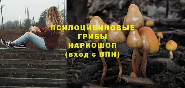 марки lsd Аркадак