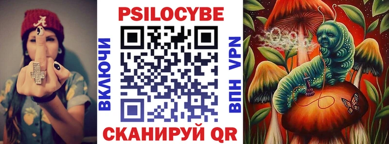 Галлюциногенные грибы Psilocybe  как найти   сайты даркнета официальный сайт  Николаевск-на-Амуре 